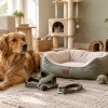 Boutique Animal Accessia