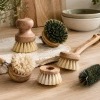 Boutique Brosse Végétale
