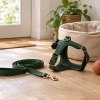 Boutique Canin Access