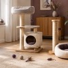 Boutique Felinaccess