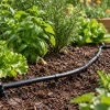Boutique Goutte Jardin
