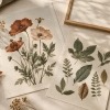 Boutique Herbier Mural